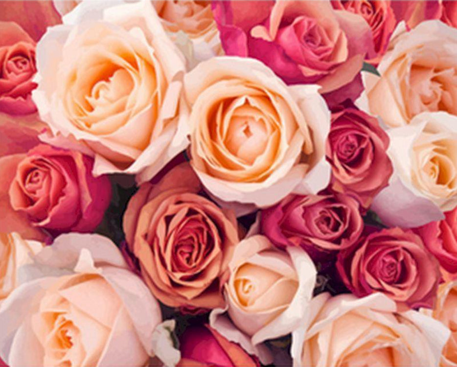 Roze en karmozijnrode rozen Schilderen op Nummers