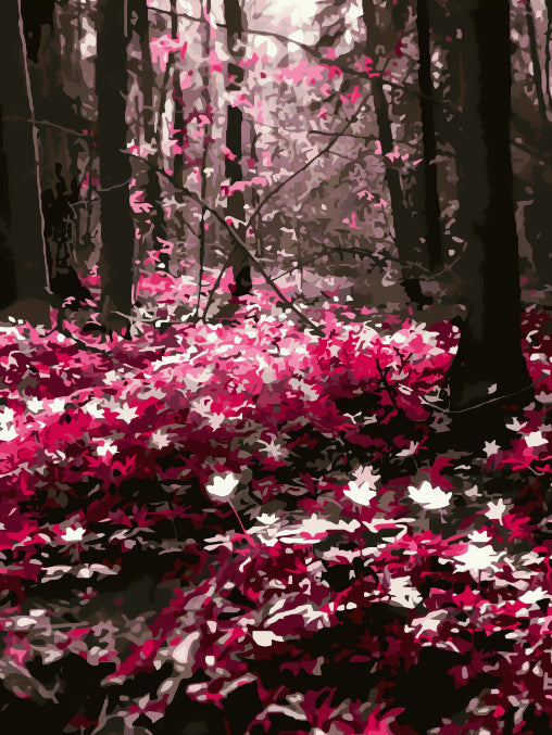 Roze en Witte Bladeren Schilderen op Nummers