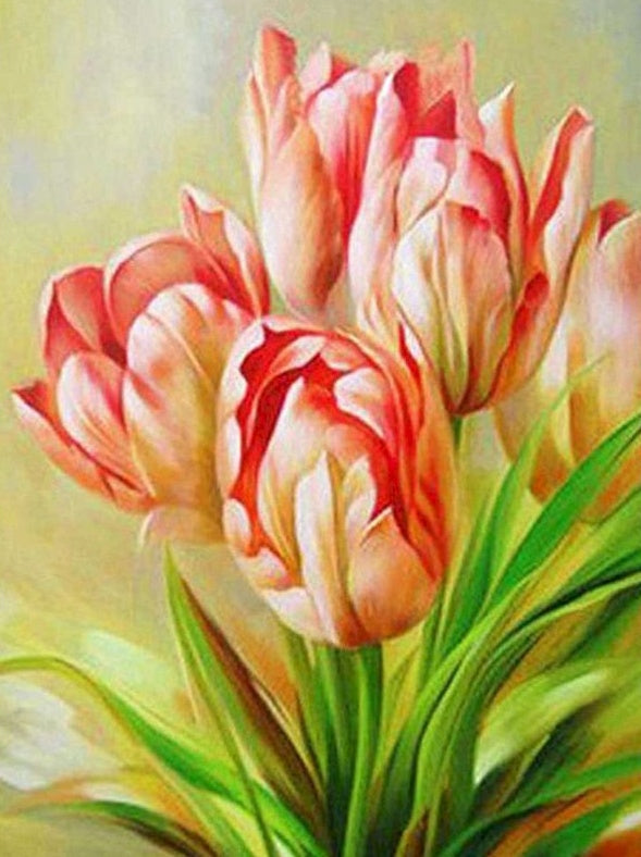 Roze en Witte Tulpen Schilderen op Nummers