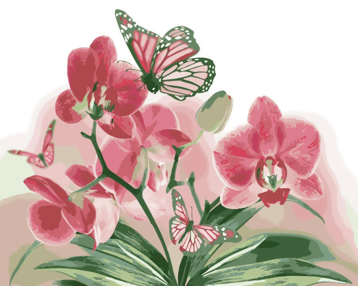 Roze Phalaenopsis en Vlinders Schilderen op Nummers