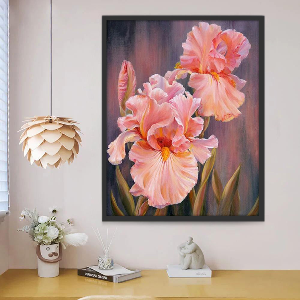 Roze Phalaenopsis Schilderen op Nummers