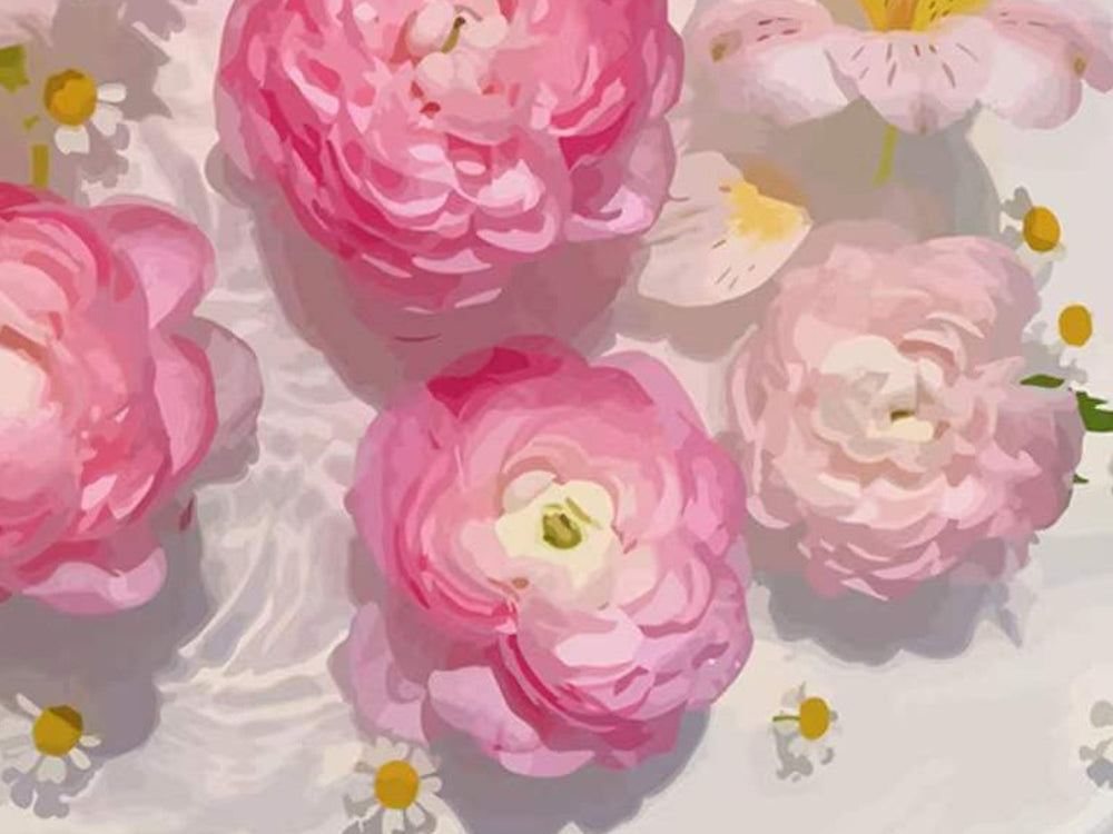 Roze Rozen en Madeliefjes Schilderen op Nummers