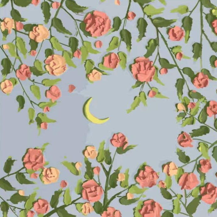Roze Rozen rond een Gele Maan Schilderen op Nummers