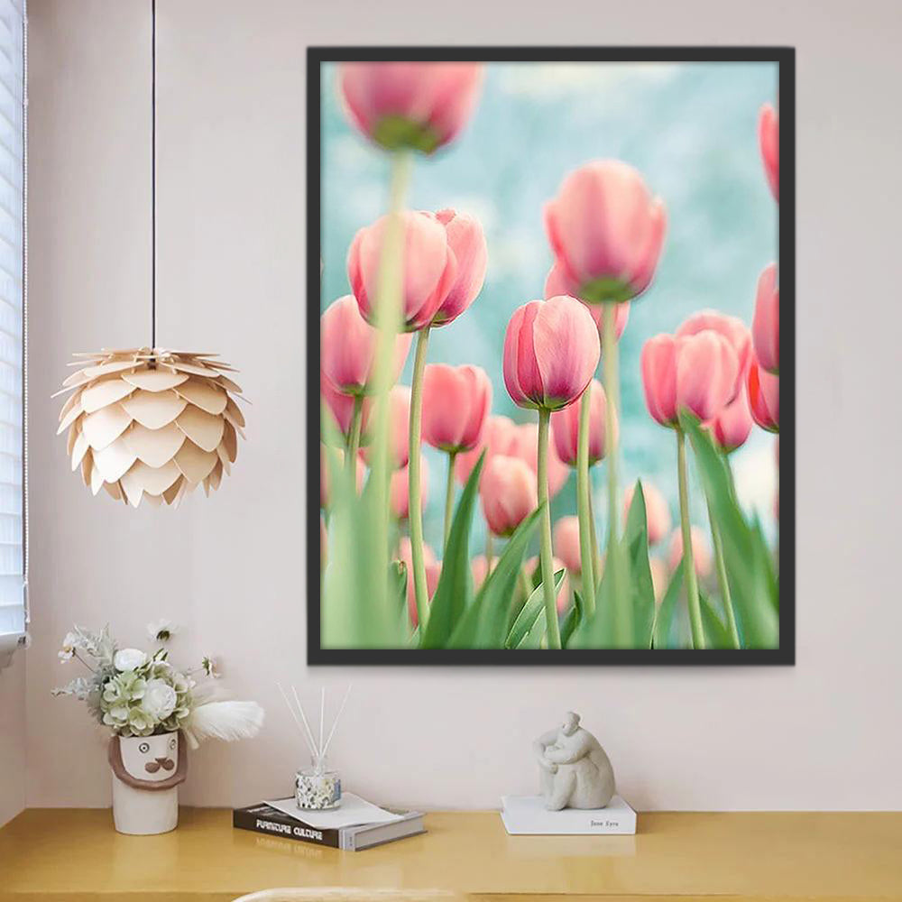 Roze tulpen onder een blauwe hemel Schilderen op Nummers