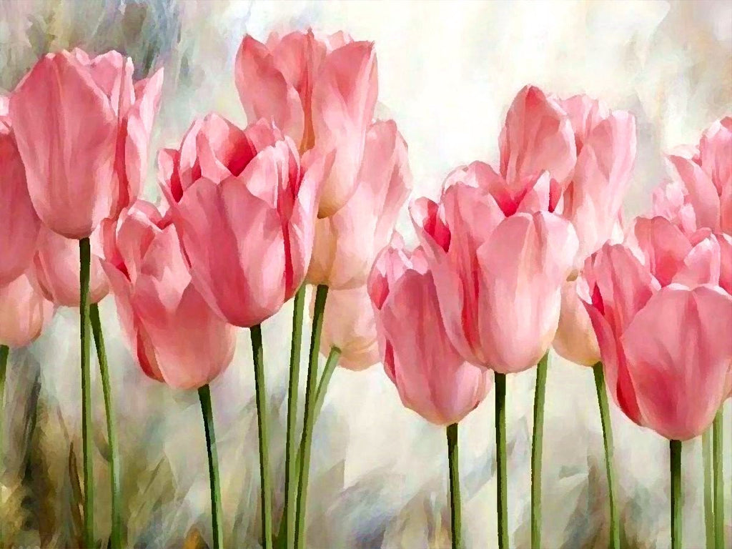 Roze tulpen Schilderen op Nummers