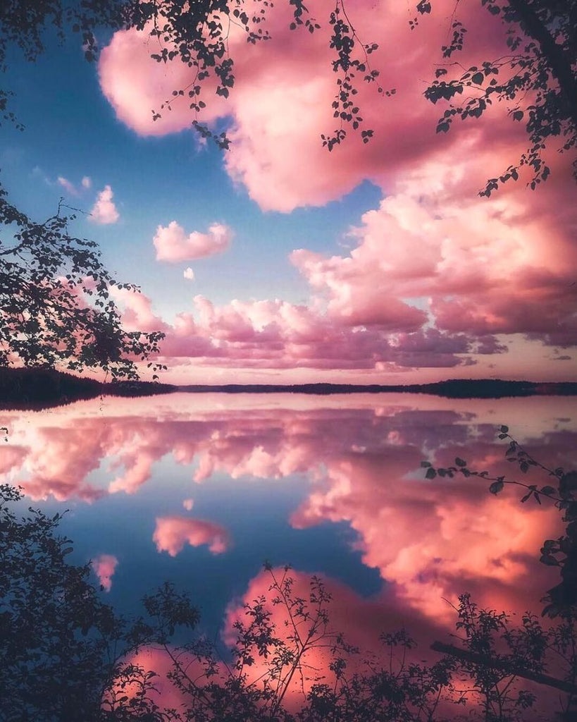 Roze Wolken en Donkere Bomen Schilderen op Nummers