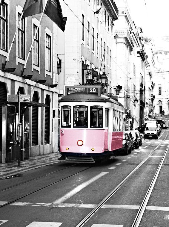 Rozetram in Monochrome Straat Schilderen op Nummers