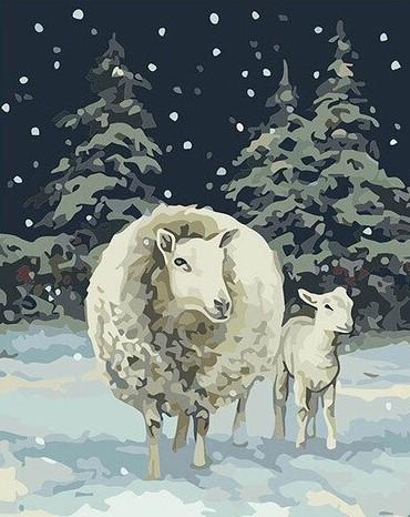 Schapen in de sneeuw Schilderen op Nummers