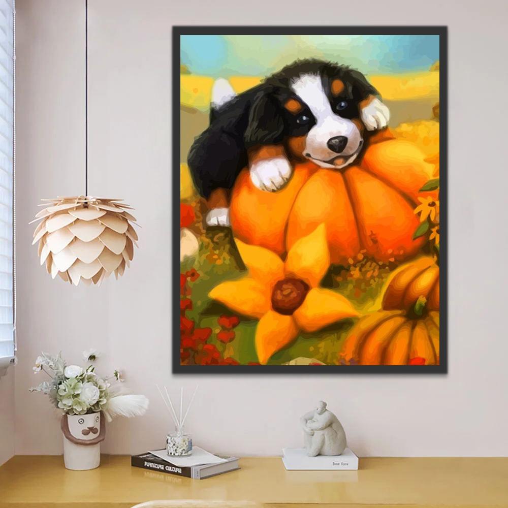 Schattig Berner Sennenhond op een Pompoen Schilderen op Nummers
