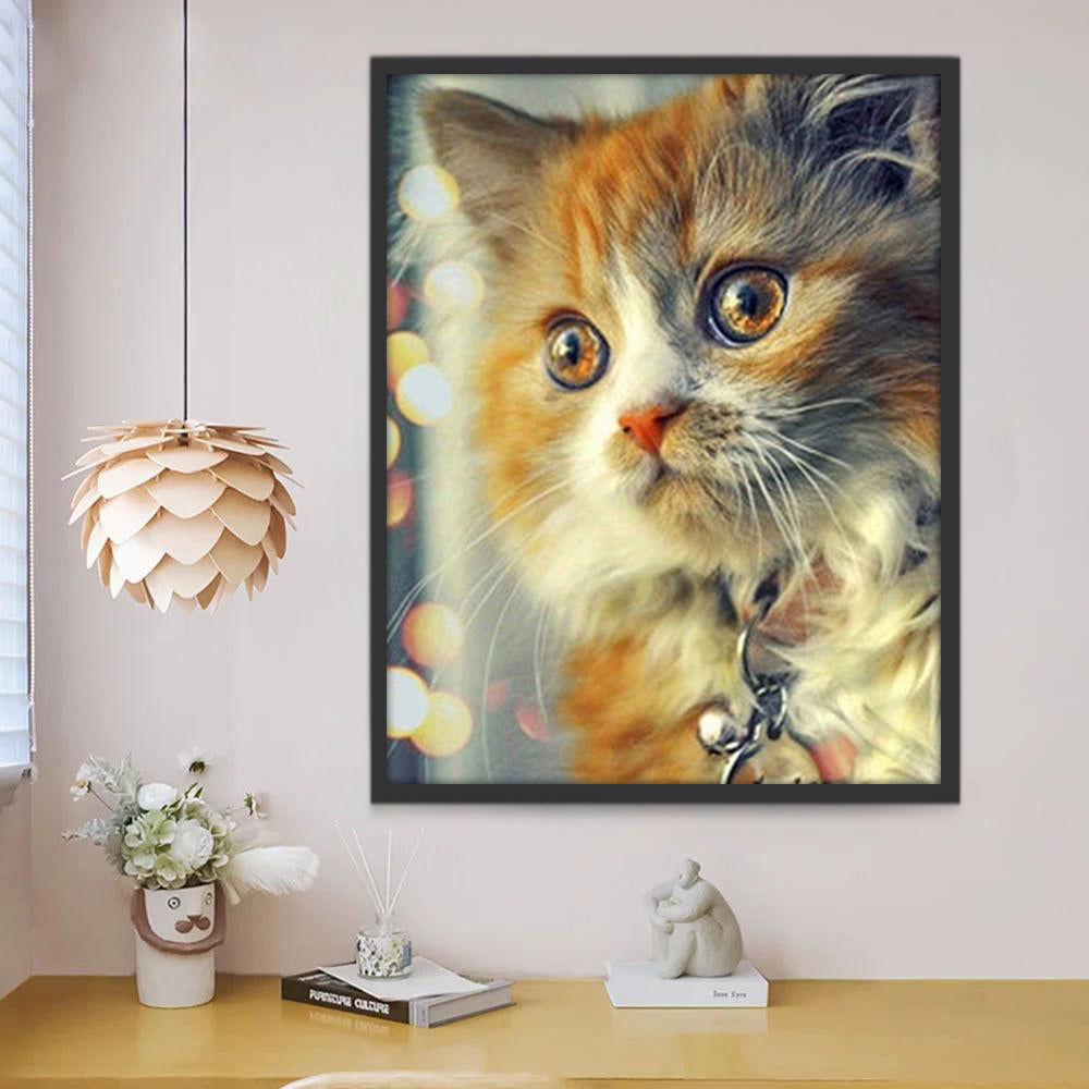 Schattig Katje met Halsbandje Schilderen op Nummers