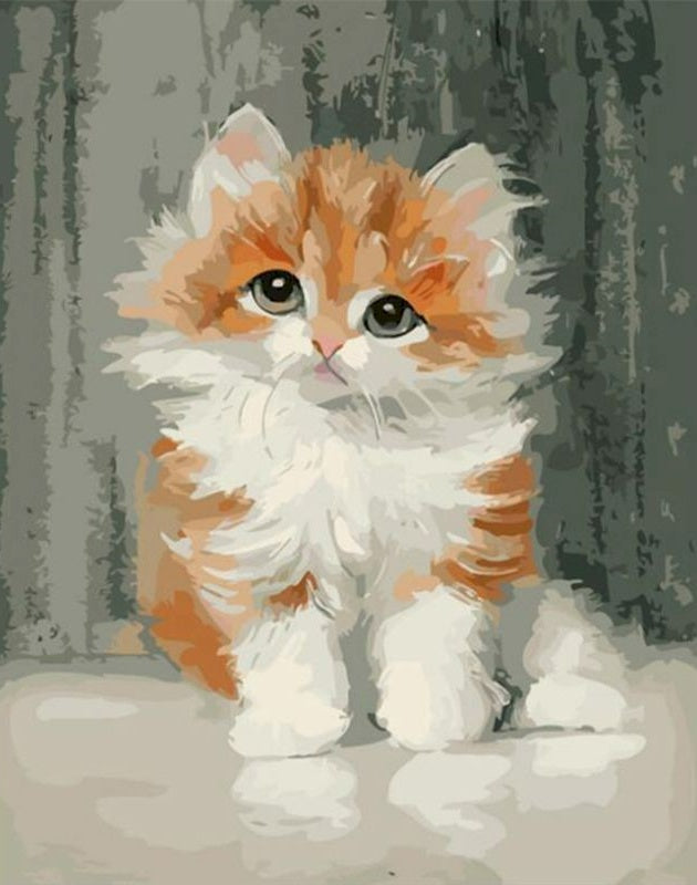 Schattig Katje Schilderen op Nummers