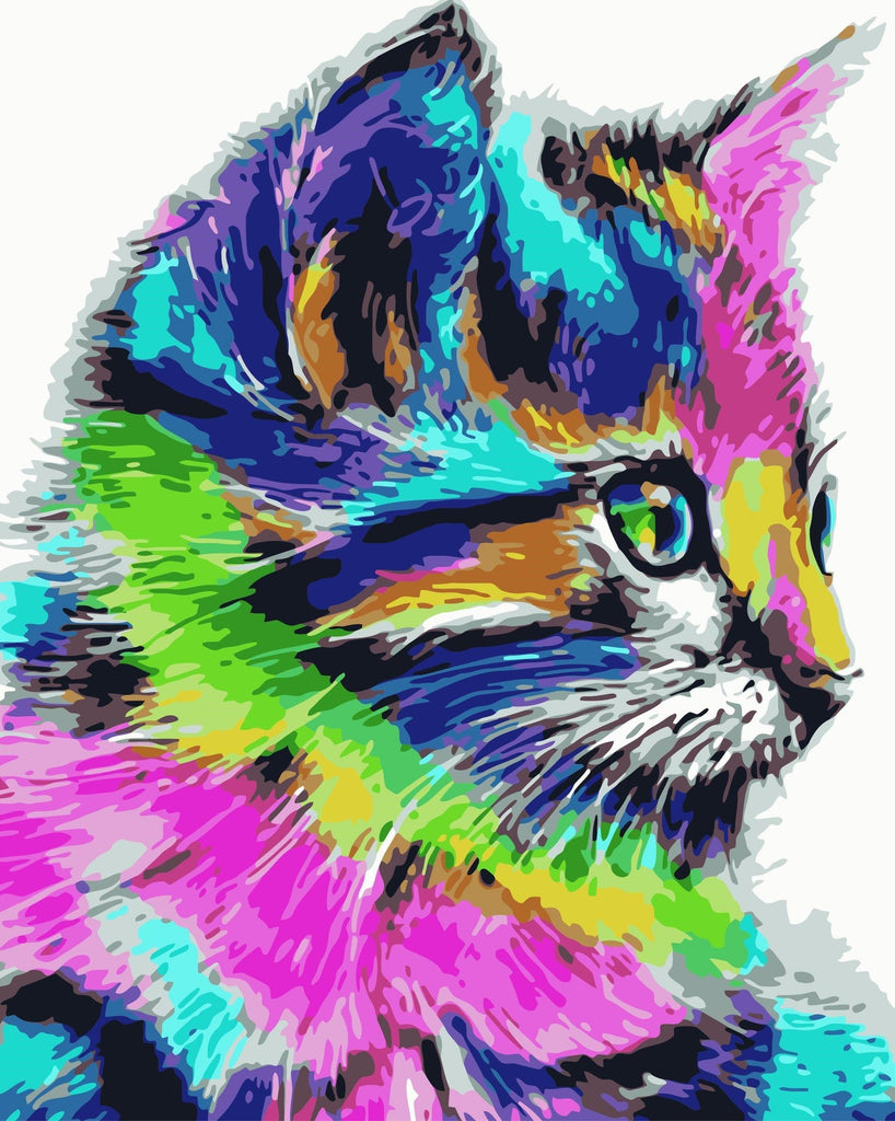 Schattig Kleurrijk Kattengezicht Schilderen op Nummers