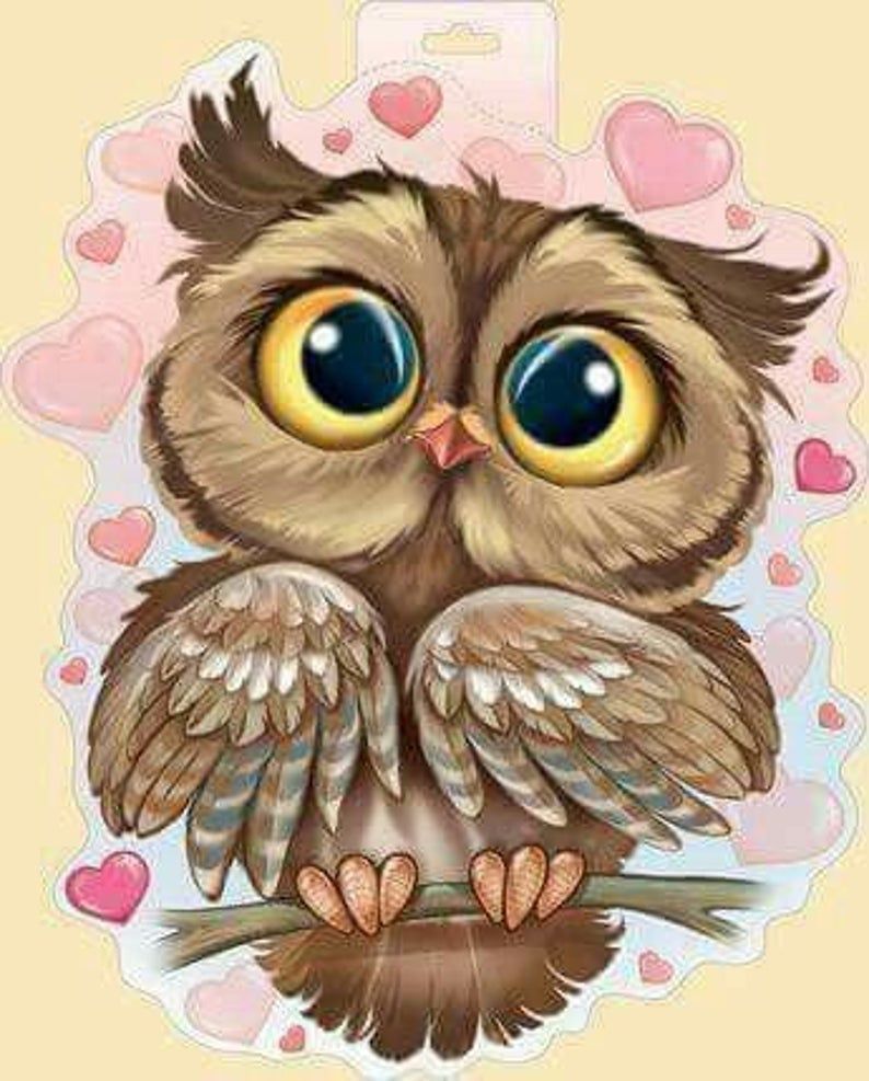 Schattige Cartoon Uil Schilderen op Nummers