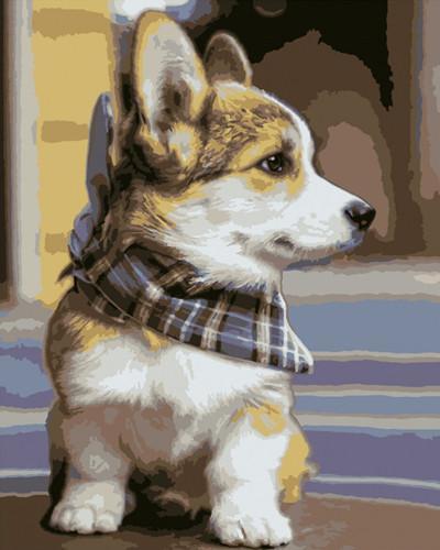 Schattige Corgi Schilderen op Nummers