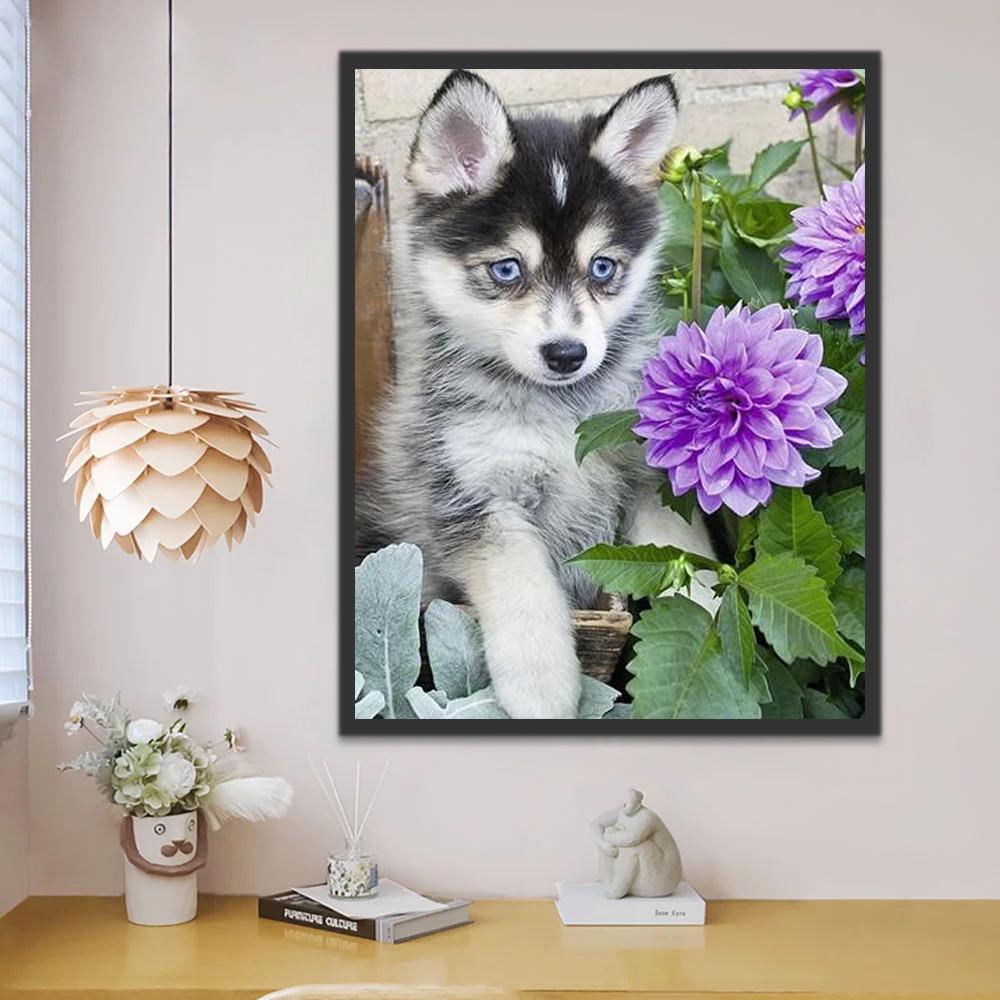 Schattige Coyote en Paarse Bloemen Schilderen op Nummers