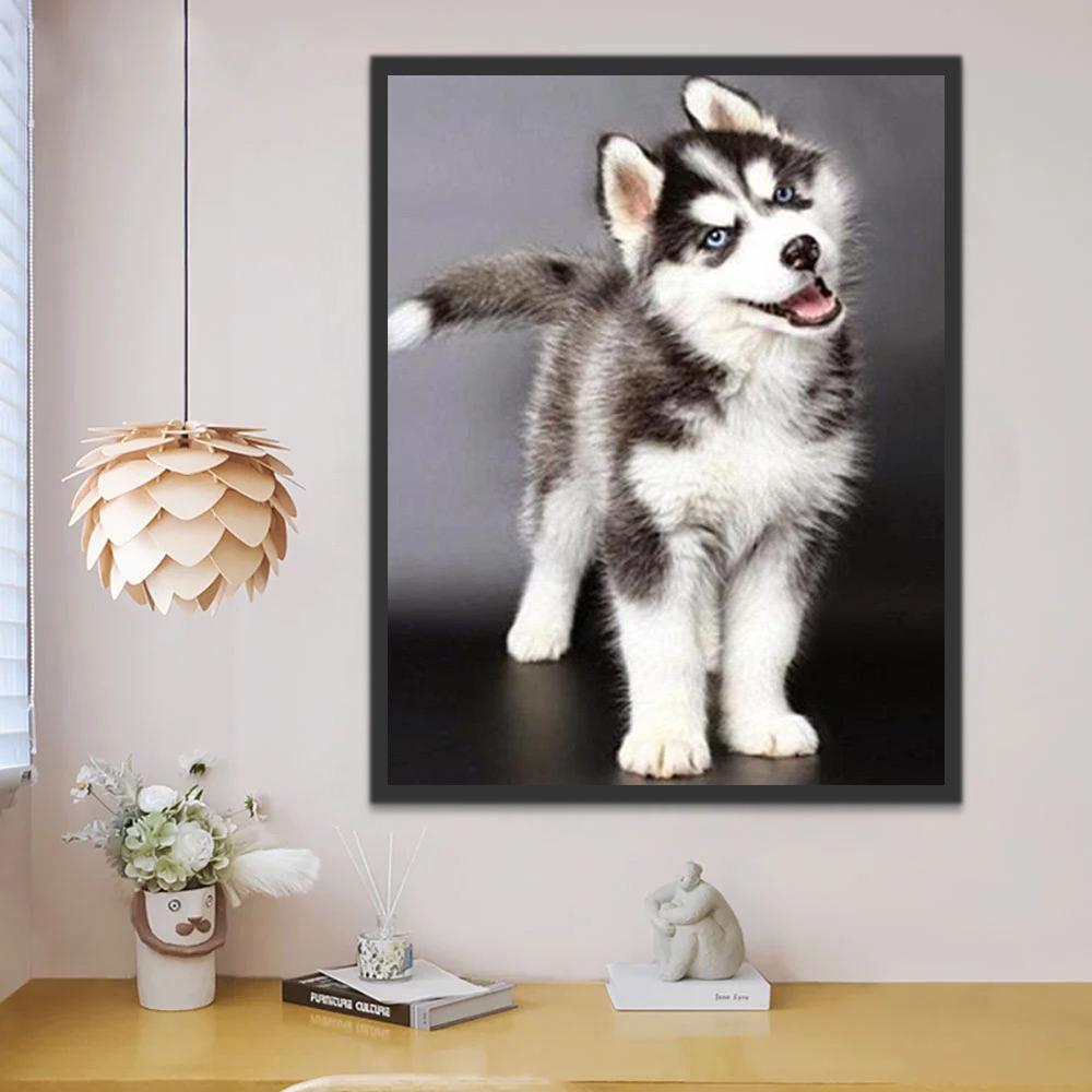 Schattige Husky Schilderen op Nummers