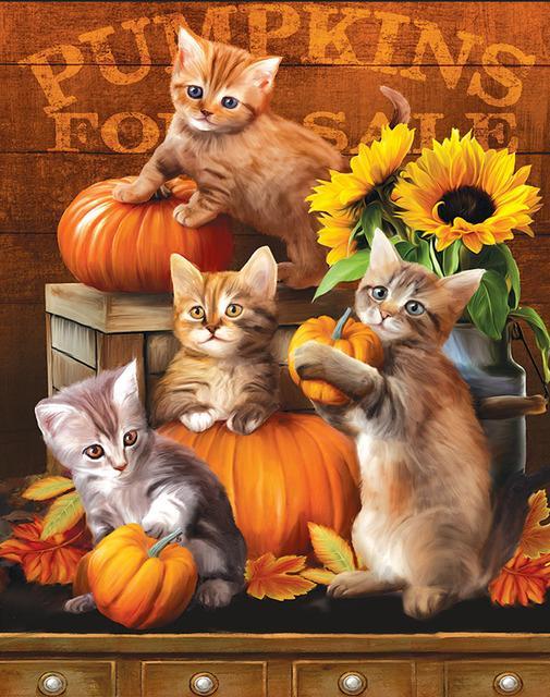 Schattige Katten, Pompoenen en Zonnebloemen Schilderen op Nummers