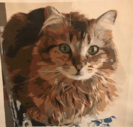 Schattige Langharige Kat Schilderen op Nummers