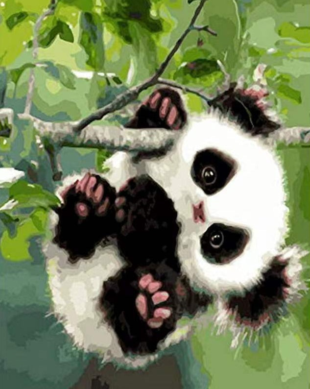 Schattige Panda in een Boom Schilderen op Nummers