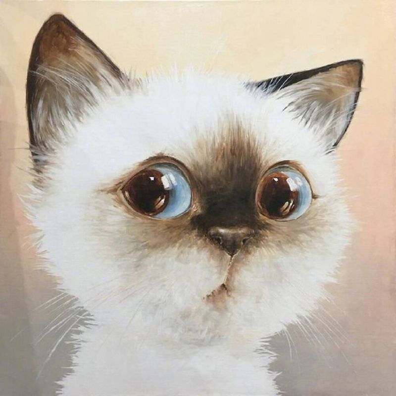 Schattige Siamese Kat Schilderen op Nummers