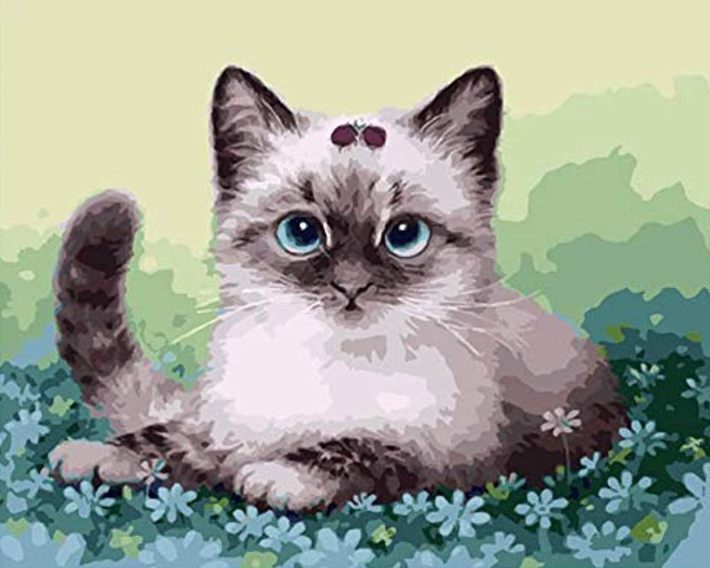 Schattige Siamese Kat Schilderen op Nummers