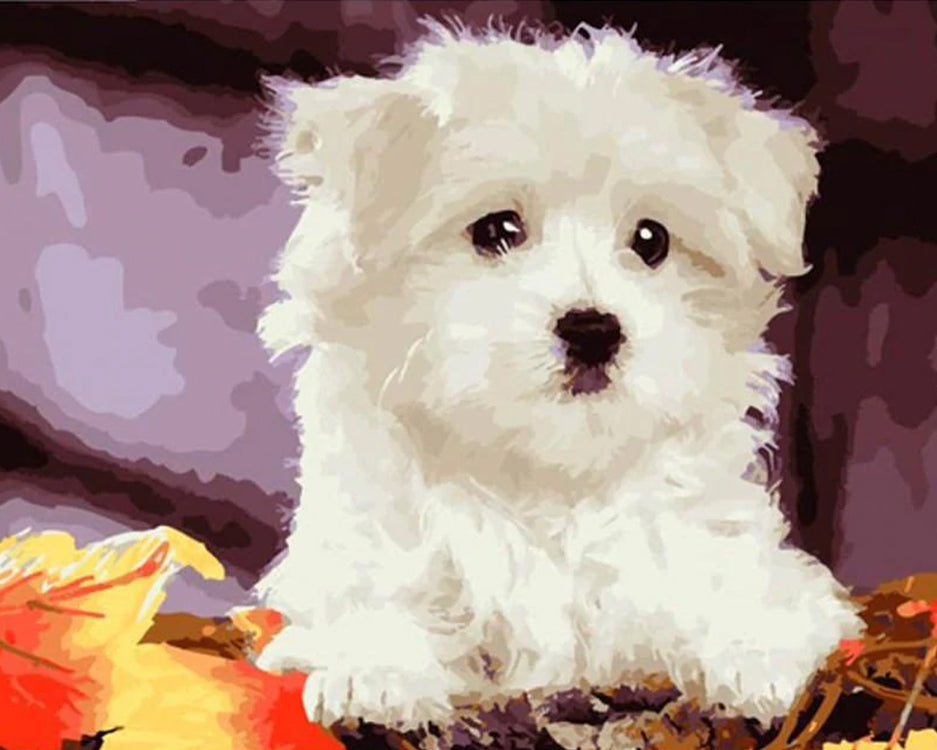 Schattige Witte Hond Schilderen op Nummers