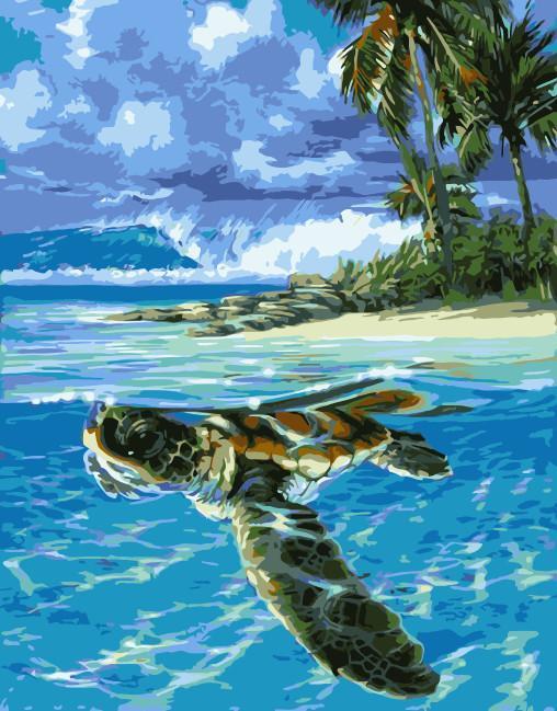 Schildpad en Eiland Schilderen op Nummers