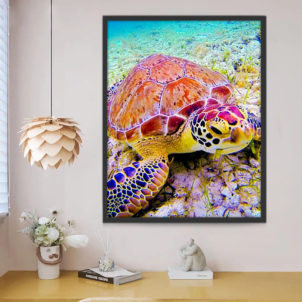 Schildpad op de Kust Schilderen op Nummers