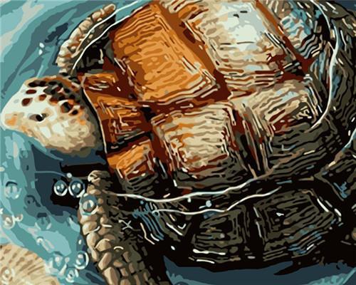 Schildpad Zeedier Schilderen op Nummers