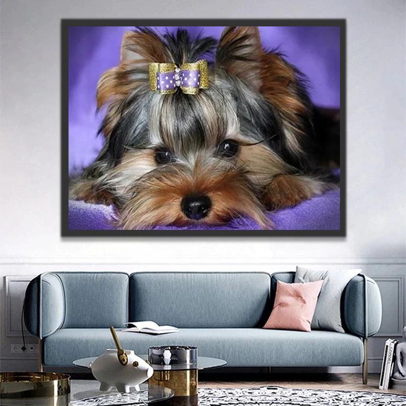 Schnauzer met een Paarse Baret Schilderen op Nummers