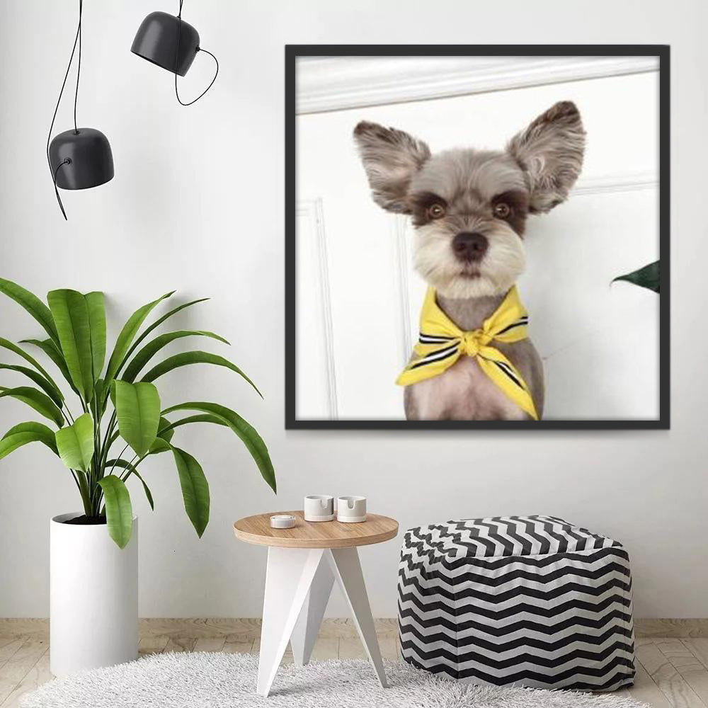 Schnauzer met Gele Halsband Schilderen op Nummers