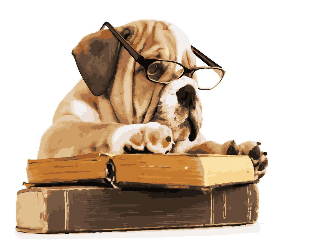 Shar-Pei met Bril Schilderen op Nummers