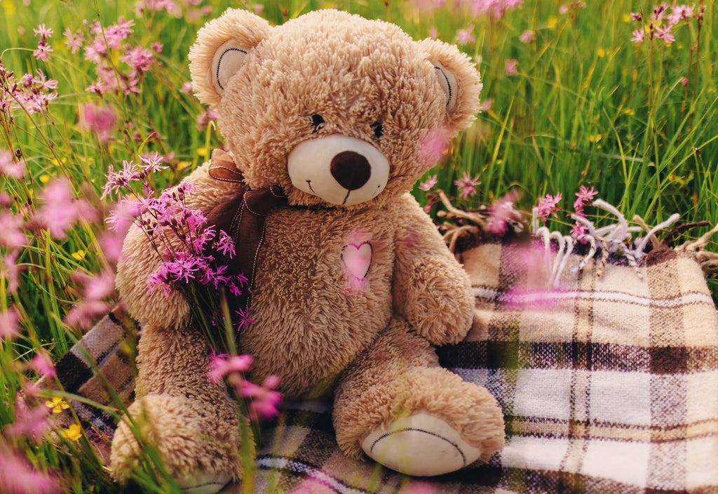 Sjaal en Teddybeer in de Wei Schilderen op Nummers