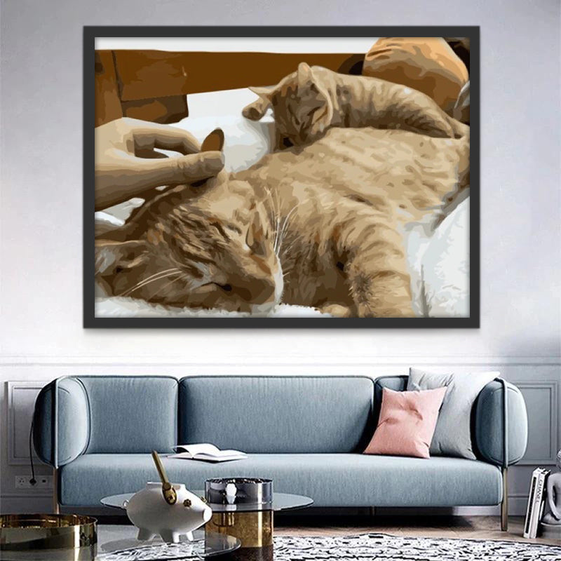 Slapende Katten Schilderen op Nummers