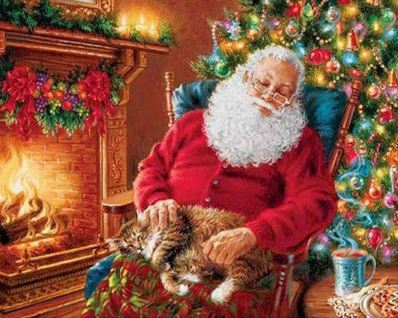 Slapende Kerstman en Kat Schilderen op Nummers