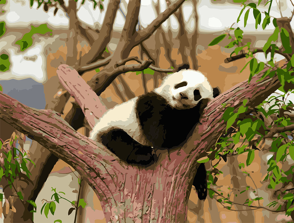 Slapende Panda in een Boom Schilderen op Nummers