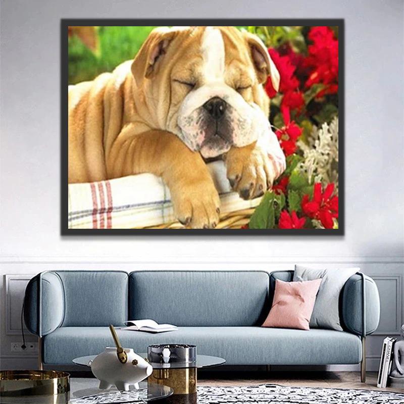 Slapende Shar-Pei Schilderen op Nummers