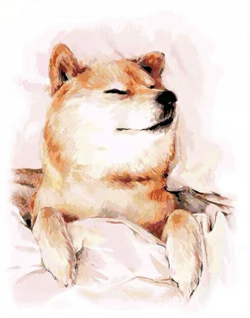 Slapende Shiba Inu Schilderen op Nummers
