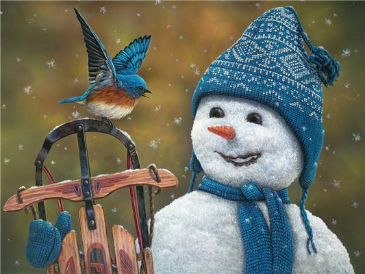 Sneeuwpop met Blauwe Muts en Sjaal en Vogel Schilderen op Nummers