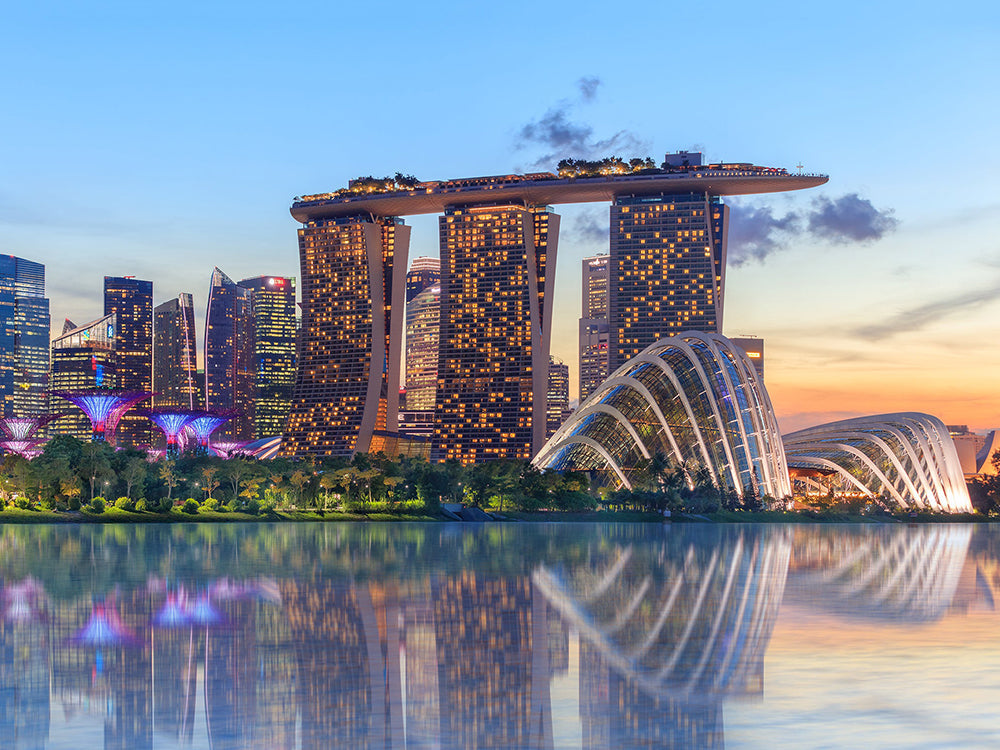 Stadsgezicht van Singapore Schilderen op Nummers