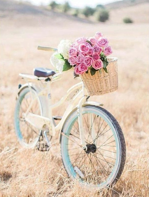 Stijlvolle Fiets in Akkers met Rozenbloemen Schilderen op Nummers