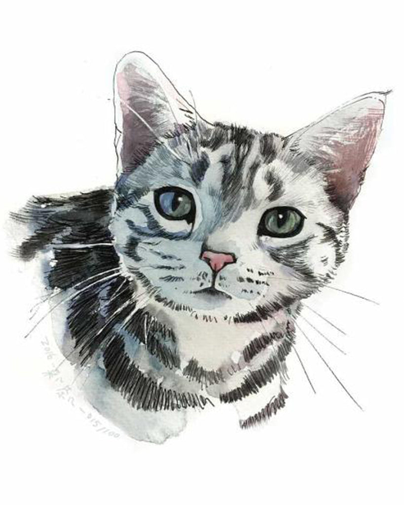 Tabby Kat Schilderen op Nummers