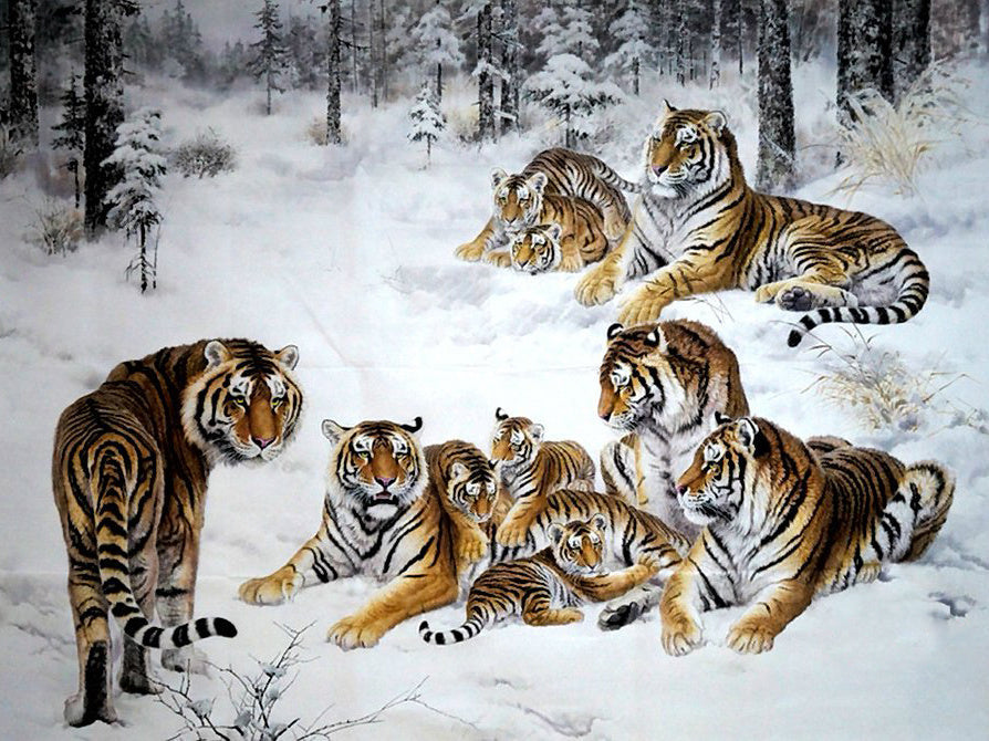 Tijger in het Besneeuwde Bos Schilderen op Nummers