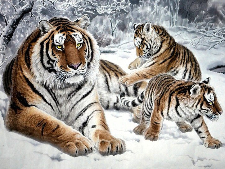Tijgerfamilie in de Sneeuw Schilderen op Nummers
