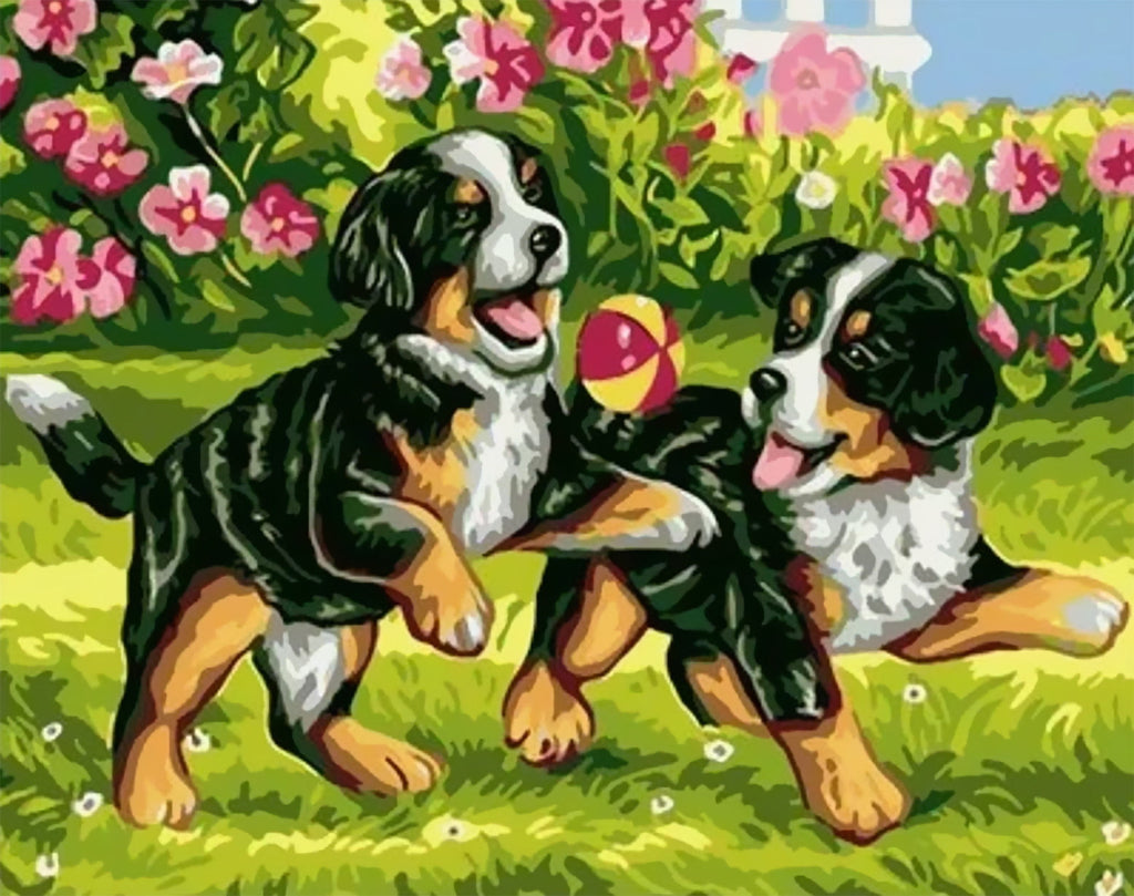 Twee Berner Sennenhonden met een Bal Schilderen op Nummers