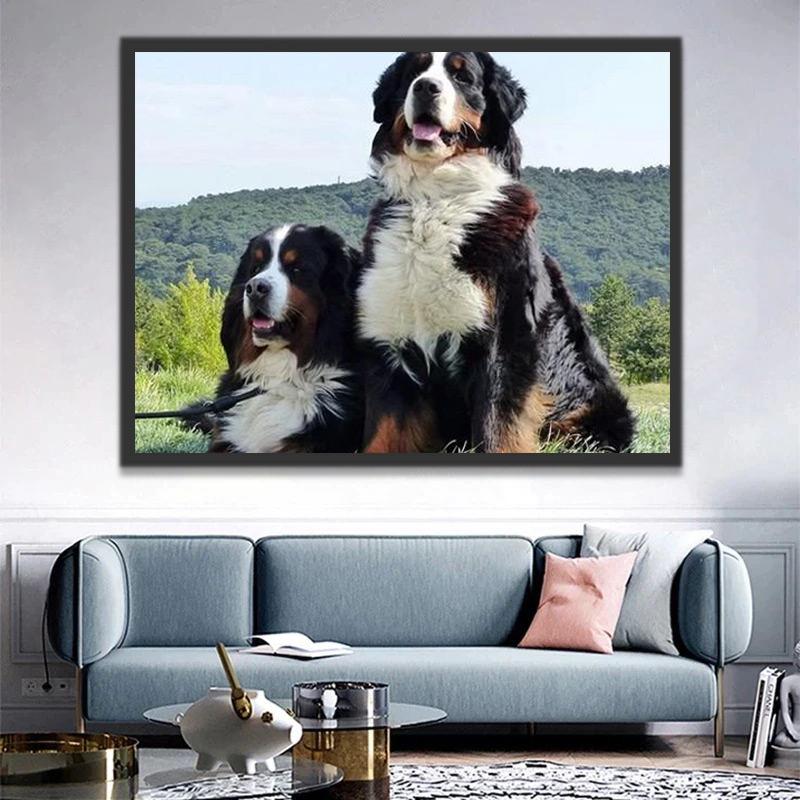 Twee Berner Sennenhonden Schilderen op Nummers