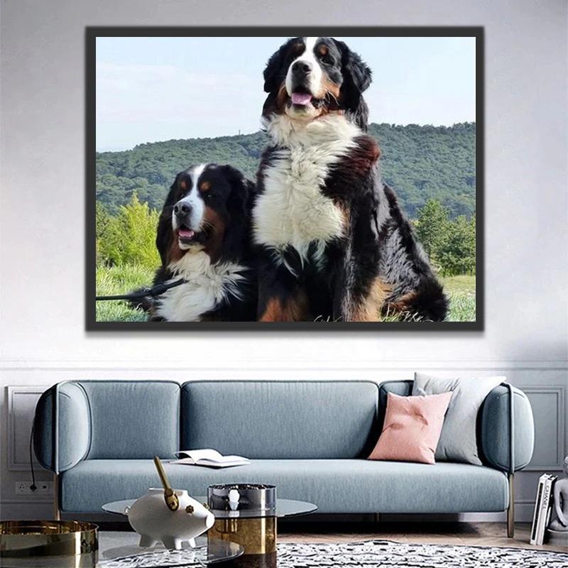 Twee Berner Sennenhonden Schilderen op Nummers