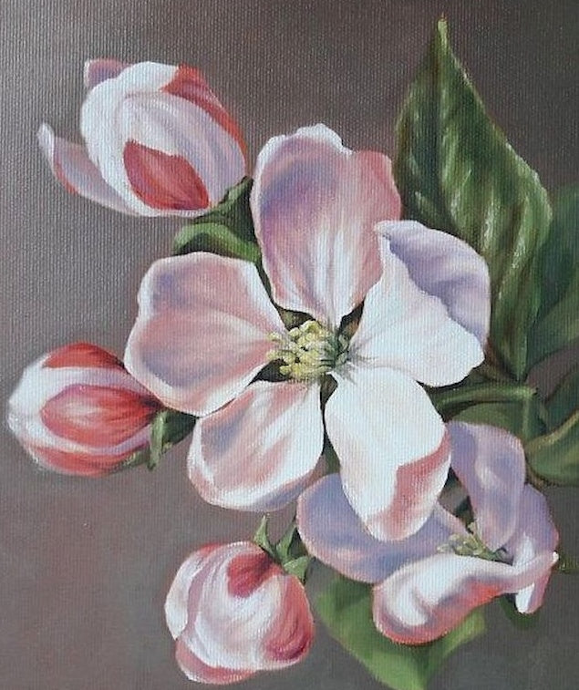 Twee Bloemen en Drie Knoppen Schilderen op Nummers