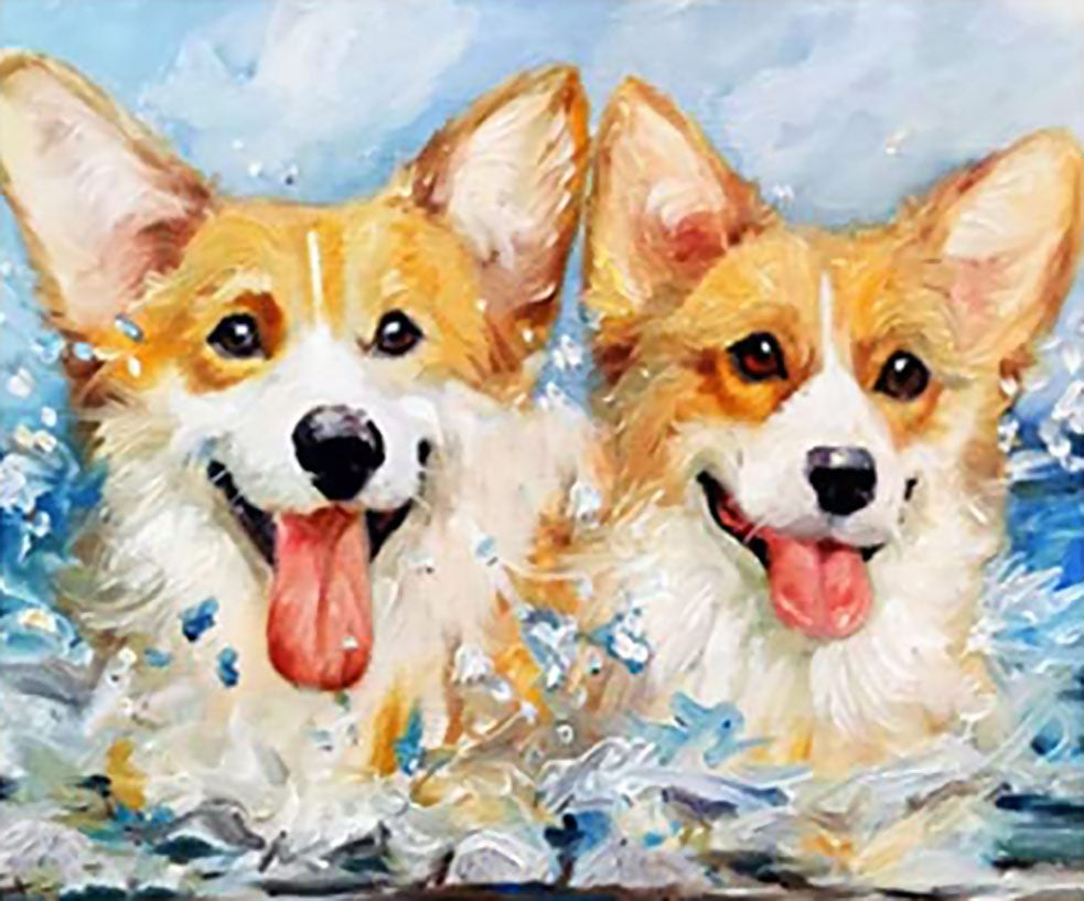 Twee Corgi in het Water Schilderen op Nummers