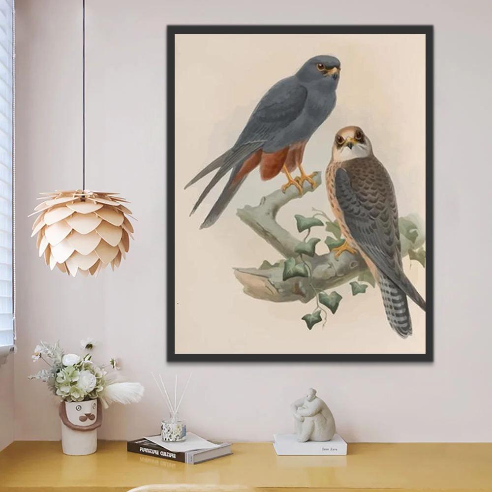 Twee Ernstige Vogels Schilderen op Nummers